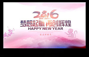 2016年年会，，，，，，，，妄想起航-再创鲜丽